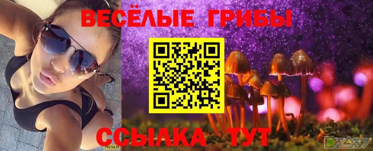 Псилоцибиновые грибы Psilocybine cubensis Кубинка