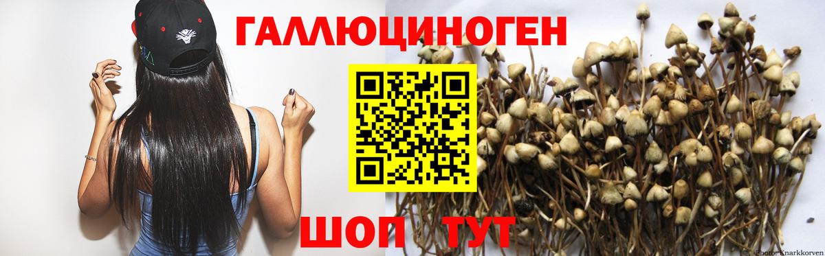 Галлюциногенные грибы Psilocybine cubensis  Псилоцибиновые грибы Psilocybine cubensis  Вход с VPN  Кубинка 